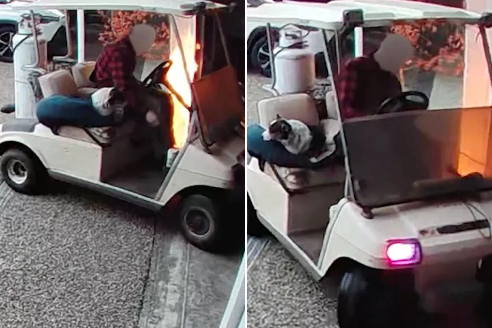 Man armed with flamethrower and his canine accomplice set house on fire and escape on golf cart newspress collage hjh8bnha6 1786128080758