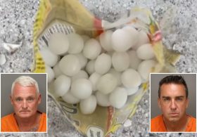 Florida business owners allegedly scattered 1,500 mothballs on beach to scare off endangered birds