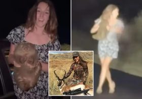 Influencer who sparked outrage for snatching baby wombat from its mother in Australia sentenced in separate Wyoming case