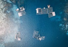 China is building a blue granary…