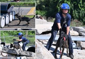 NYPD canines with touching 9/11 tie train for new elite mission