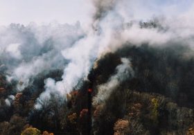 Wildfire Smoke Health Risks: 7 Things Doctors Want You to Know About Protecting Your Lungs
