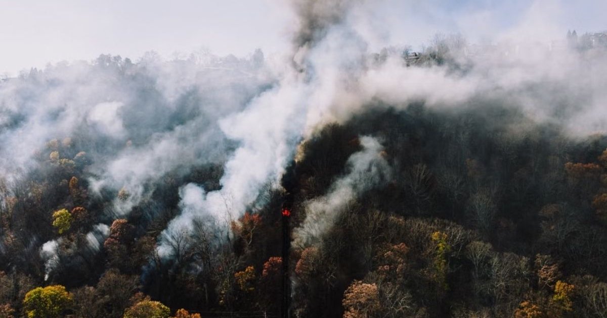 Wildfire Smoke Health Risks: 7 Things Doctors Want You to Know About Protecting Your Lungs orested area illustrating hazardous air