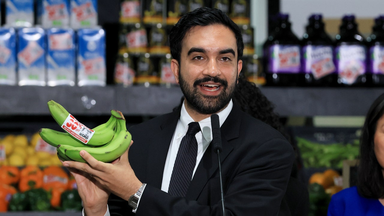 Mamdani's grocery giveaway hits ID snag as critics cry foul: 'Make it make sense' ox news