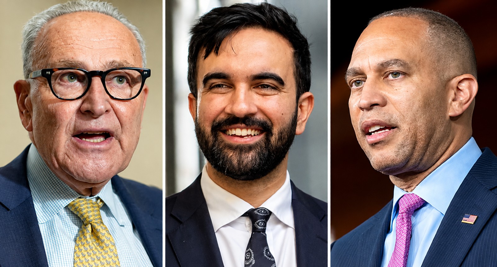 NYC-DSA Co-Chair Ordered To Resign Over Housing, Union Questions ries 6