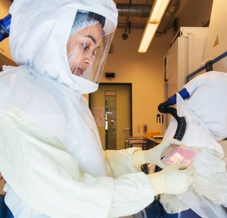 Scientists Use AI to Create Entirely New Viruses as Experts Warn of ‘Serious Harm’