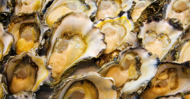 Australian Police Hunt Mollusc Marauders Who Stole 400,000+ Oysters sydney rock oysters 640x335 1