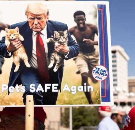Pets of Springfield, rejoice! DHS is coming for suspended-status Haitians after Biden judge takes ‘the L’
