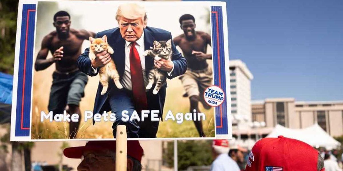 Pets of Springfield, rejoice! DHS is coming for suspended-status Haitians after Biden judge takes 'the L' ter biden judge takes the l