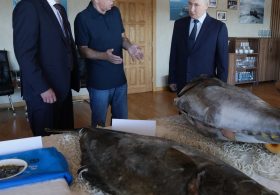 Putin Visits Islands Seized from Japan in World War II, Angering Tokyo