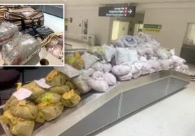 NY men busted at Maryland airport for hauling roughly 850 pounds of khat on flight from London