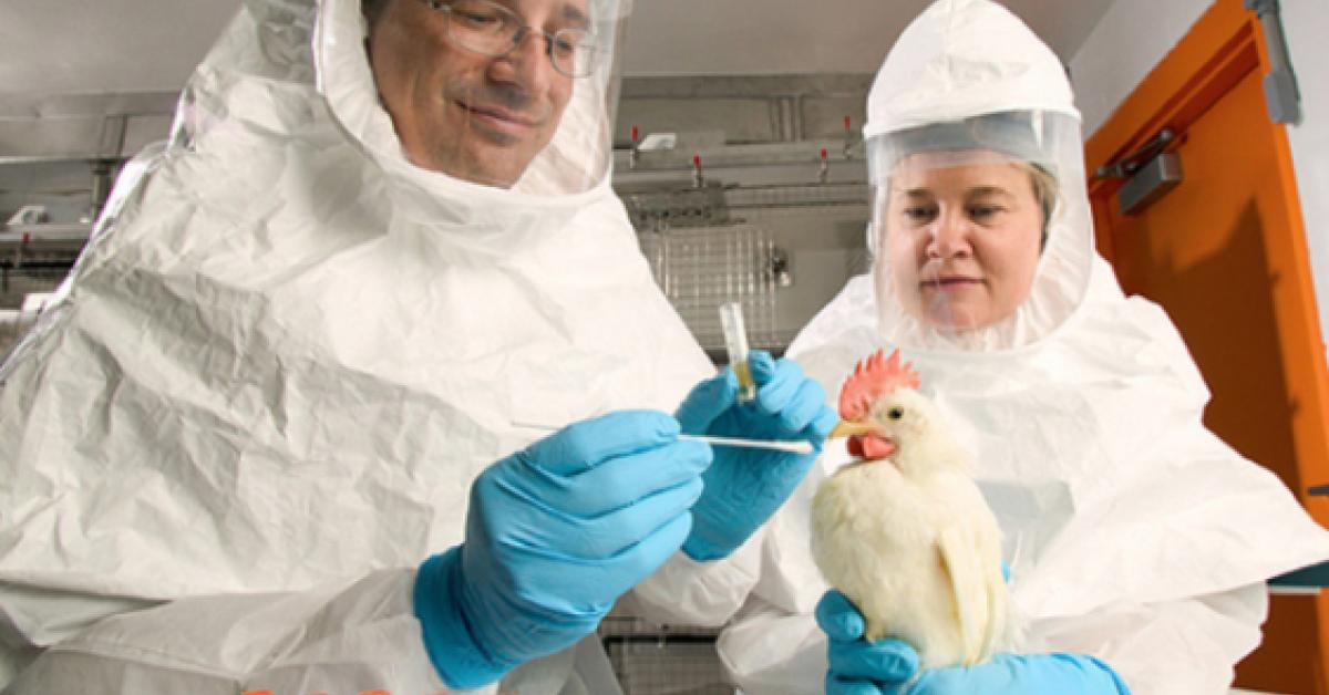 Australia records first H5N1 case in a mammal as bird flu outbreak expands unctionWhite Coat Waste Project