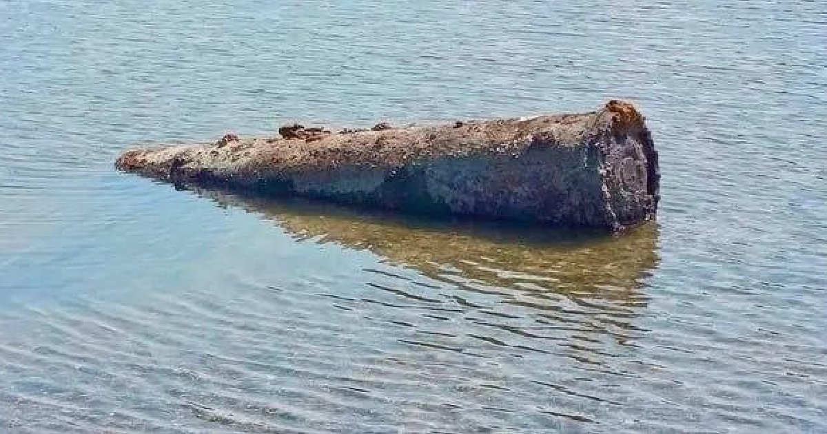 A New Threat Resurfaces as Europe Battles Wildfires and Droughts: Buried Active Bombs from WWI and WWII unexploded ww2 bomb danube river screengrab