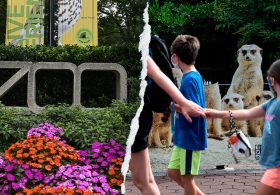 Gender equity, DEI, climate action: How the Smithsonian’s woke push ‘infiltrated’ America’s most beloved Zoo