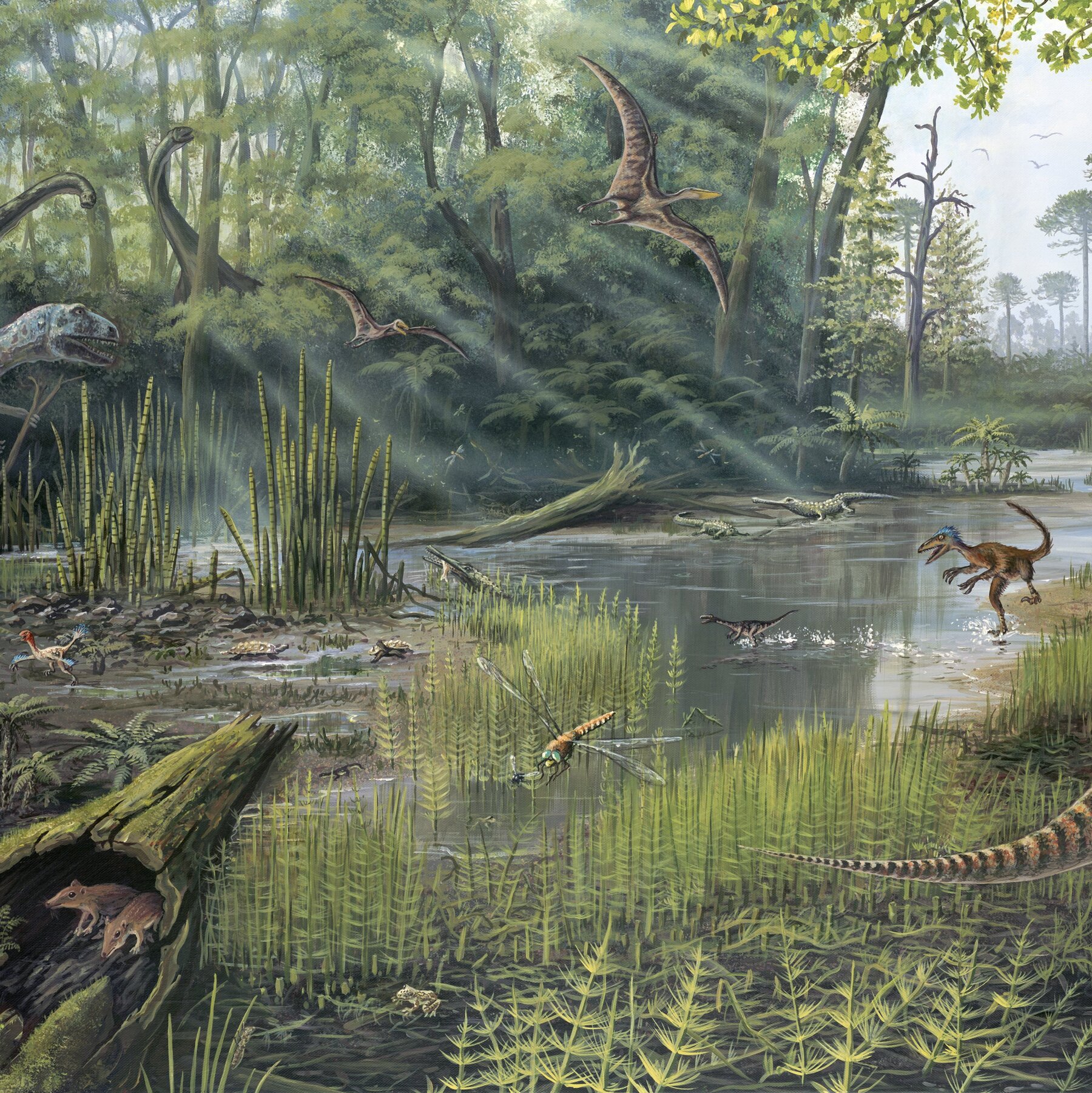 What Did Jurassic Forests Sound Like? Like This. 02SCI JURASSIC SOUNDS mediumSquareAt3X
