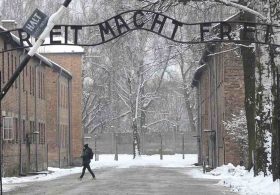 I Left Aus​​​​chwitz a Year Ago, but It Hasn’t Left Me
