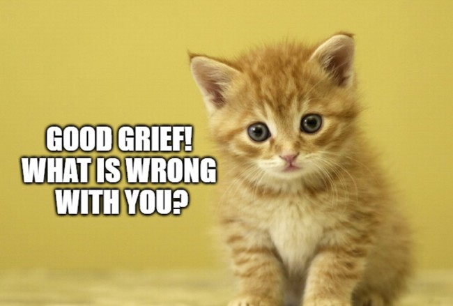 CAT-Egorically Insane: NYC Shelter's Adoption Policy Is So Unhinged, Even PETA Is Calling It Out 0dae5a86 8ec6 41c8 b661 b944320e3859 650x0 1