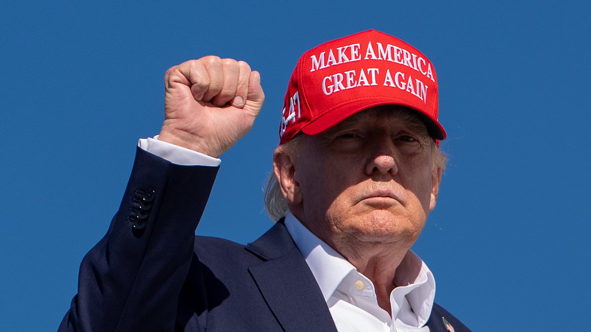 Trump's travel halted as emergency plane slide deployed on problematic new Air Force One 111134091 0 image a 6 1788978351711