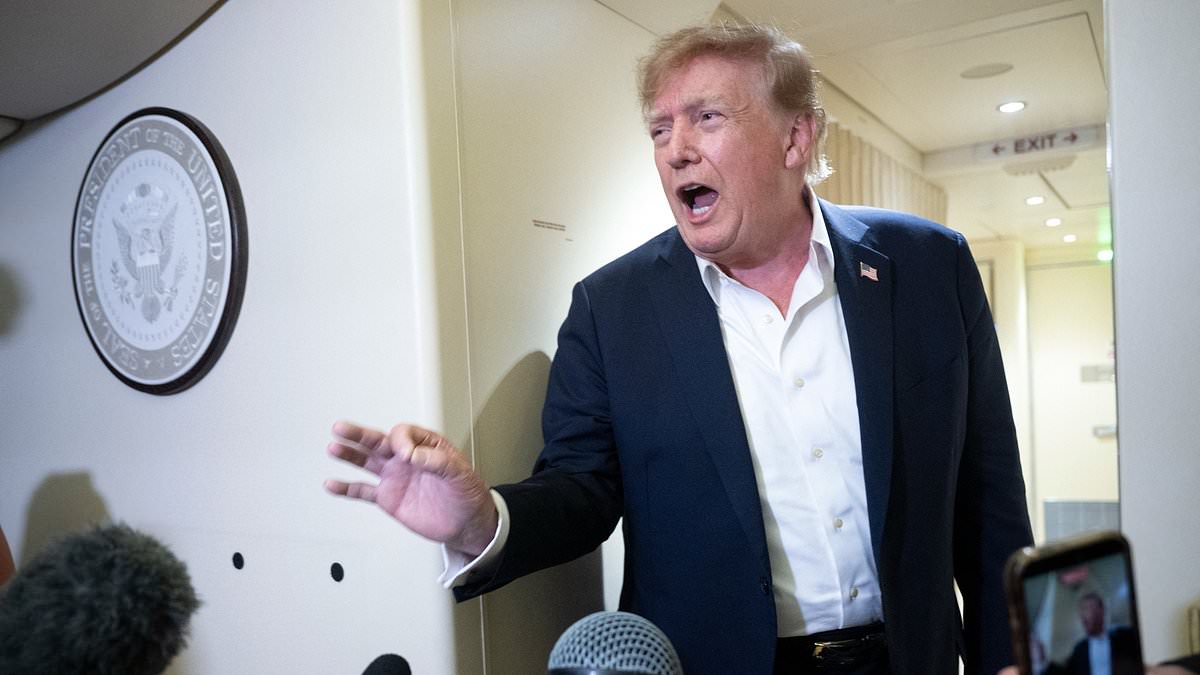 Trump claims HE'S the only guardrail that AI needs and slams 'sick conspiracy' pushing for more regulation 111239663 0 image m 32 1789398271093