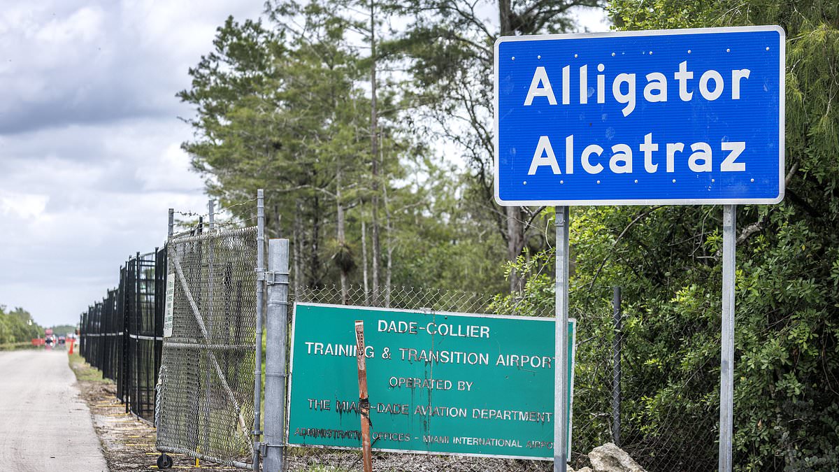 Explosive report into Trump's now-closed 'Alligator Alcatraz' migrant detention facility reveals small cage 'calming areas' and other deplorable conditions 111241885 0 image m 16 1789406332103