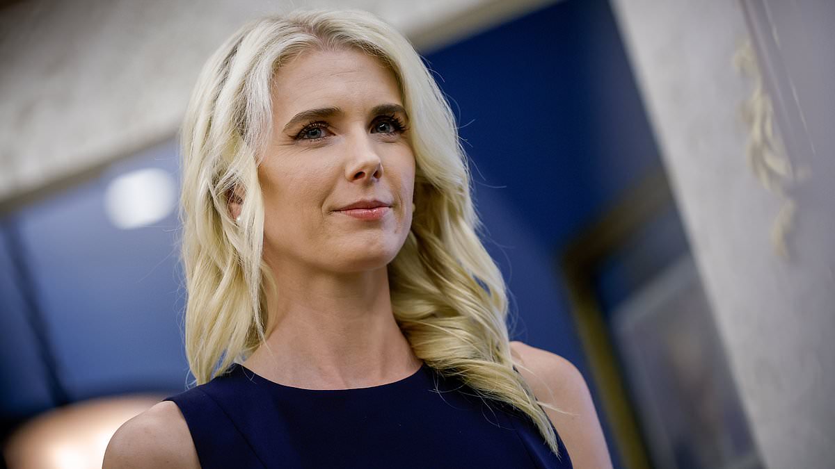 Trump aide Natalie Harp reportedly provided unflattering news clips that led to purge of unfriendly media outlets from White House 111370471 0 image m 111 1789967995748