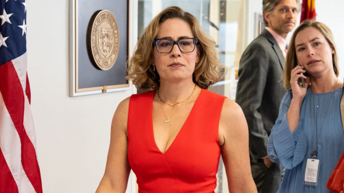 Kyrsten Sinema's bodyguard ex-lover arrested over trashing her home in $200k rampage after he issued shock ultimatum 111443373 0 image m 9 1790251713503