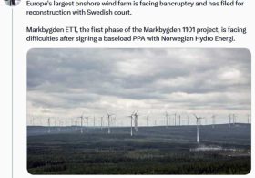 The Green Energy Paradox: Saving Nature by Destroying It