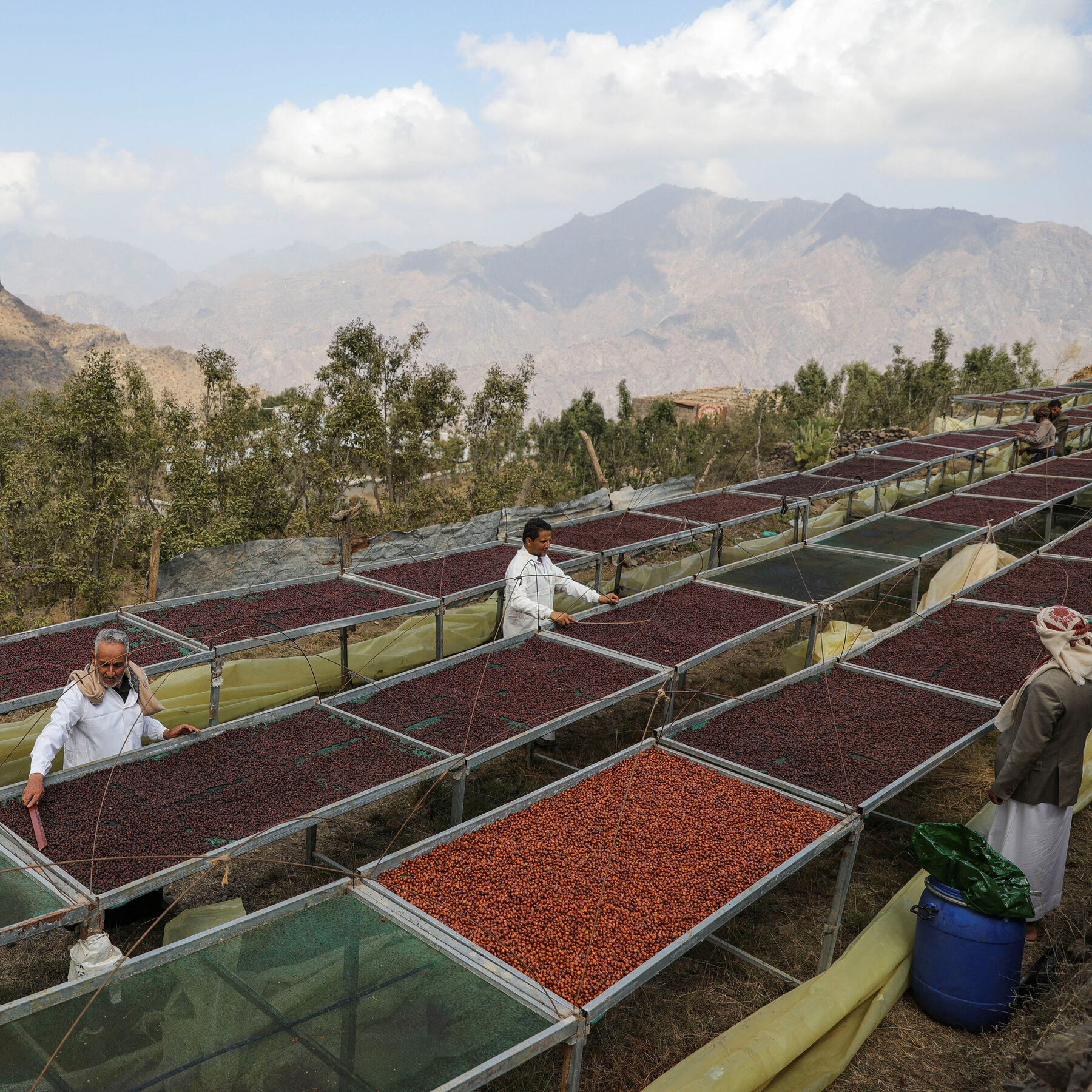 Why Mokha, Historic Port That Shaped the Coffee Trade, Is a Prize in Yemen’s War 12xp mokha bthk mediumSquareAt3X
