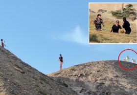 Montana hikers clash with group over close mountain goat encounter at Glacier National Park: ‘I will f–k you up’