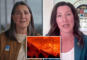 California Democrats panic as PG&E cuts $2 billion in planned spending over wildfire liability fight