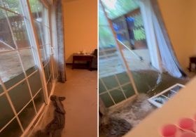 Dramatic video captures floodwaters bursting through glass doors of college students’ home