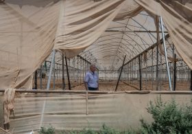 Israeli Tourist Trap ‘Herod’s Pool’ Is Draining Palestinians’ Land Dry