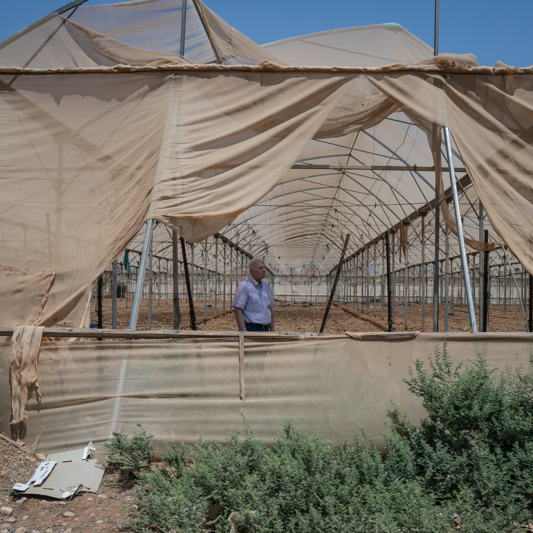 Israeli Tourist Trap ‘Herod’s Pool’ Is Draining Palestinians’ Land Dry 13Settlers pool 01 jbwz mediumSquareAt3X