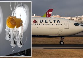 Delta plane plunges 27,000 feet in 10 minutes as oxygen masks suddenly drop aboard flight