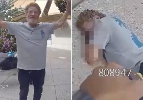 Palo Alto mall menace is zapped with Taser before face planting and breaking his neck