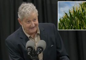 Sen. John Kennedy raises eyebrows with bizarre praise of Nebraska: ‘Better than sex’