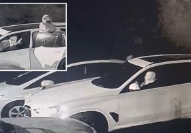 Moment masked youths rip precious metals from man’s car in under four minutes in California