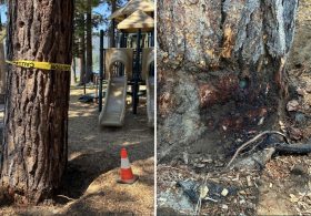 Billionaire’s playground offers $147K to unmask mystery poisoning suspect