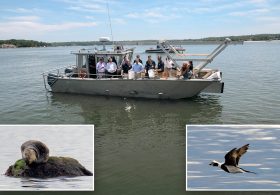 Long Island Sound shows signs of a comeback as water quality continues to improve