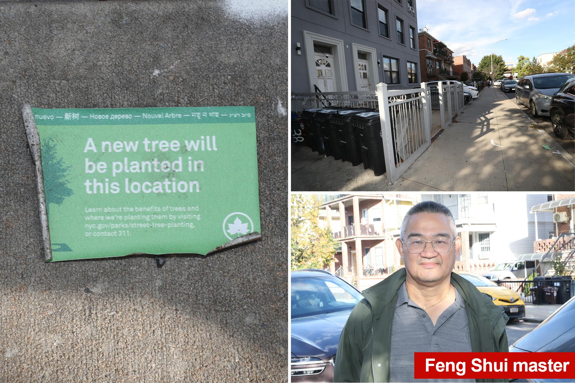 ‘Nervous’ residents of one NYC nabe say new, city-planted trees will ruin area’s Feng Shui, bring ‘bad luck’ 142325618