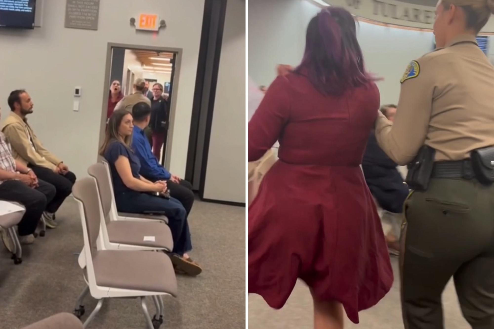 Wild moment cop drags woman out of California county meeting after furious clash over data centers 142548671