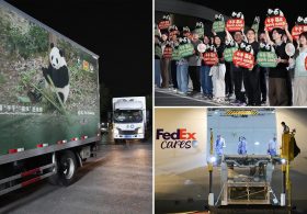 2 giant pandas set off to Atlanta zoo from China after Xi-Trump summit