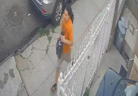 Enraged soccer player slashes rival in head after heated fight in NYC park: cops