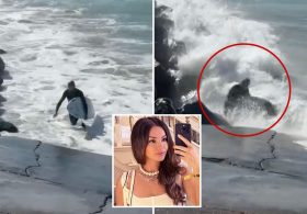 Moment California surfer smashed onto rocks by hurricane-powered wave before celebrity publicist’s daring rescue