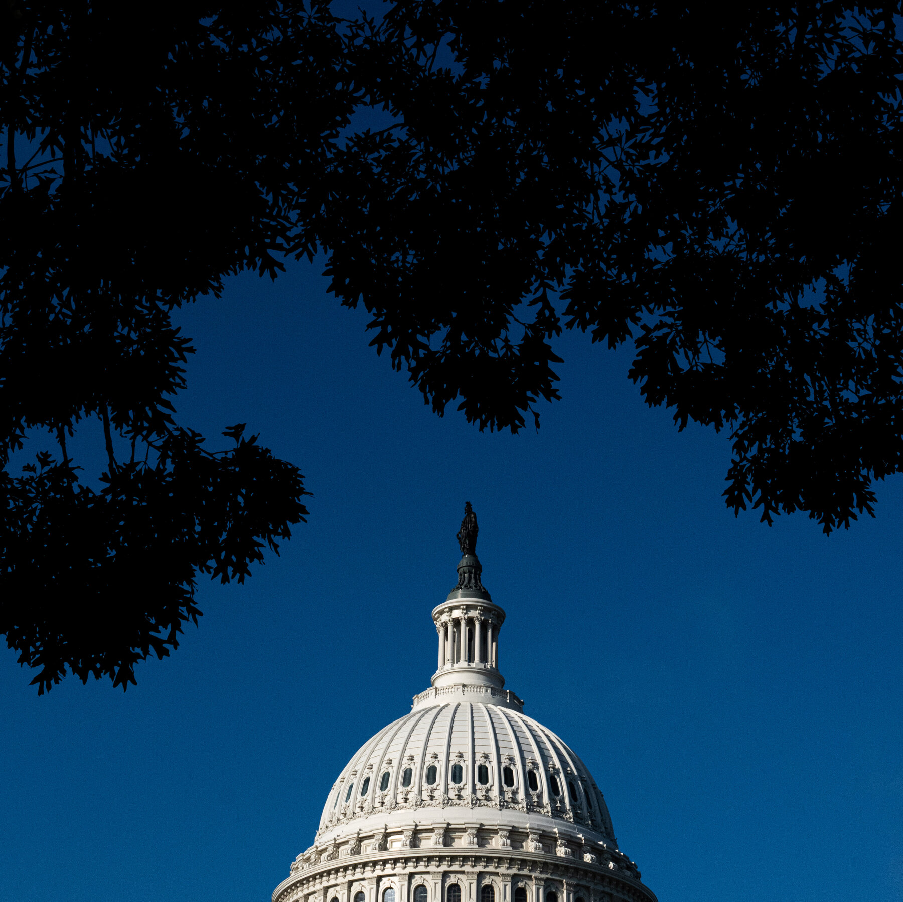 Who Will Win the Midterms? Republicans Are Reeling. 17pol campaign top 1lt5 hgqb mediumSquareAt3X