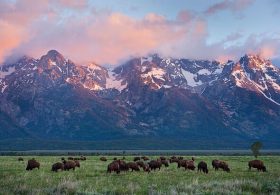 Trump considering building baseball park in Grand Teton National Park