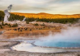 Skin on man’s hands peel off like gloves after diving headfirst into Yellowstone pool
