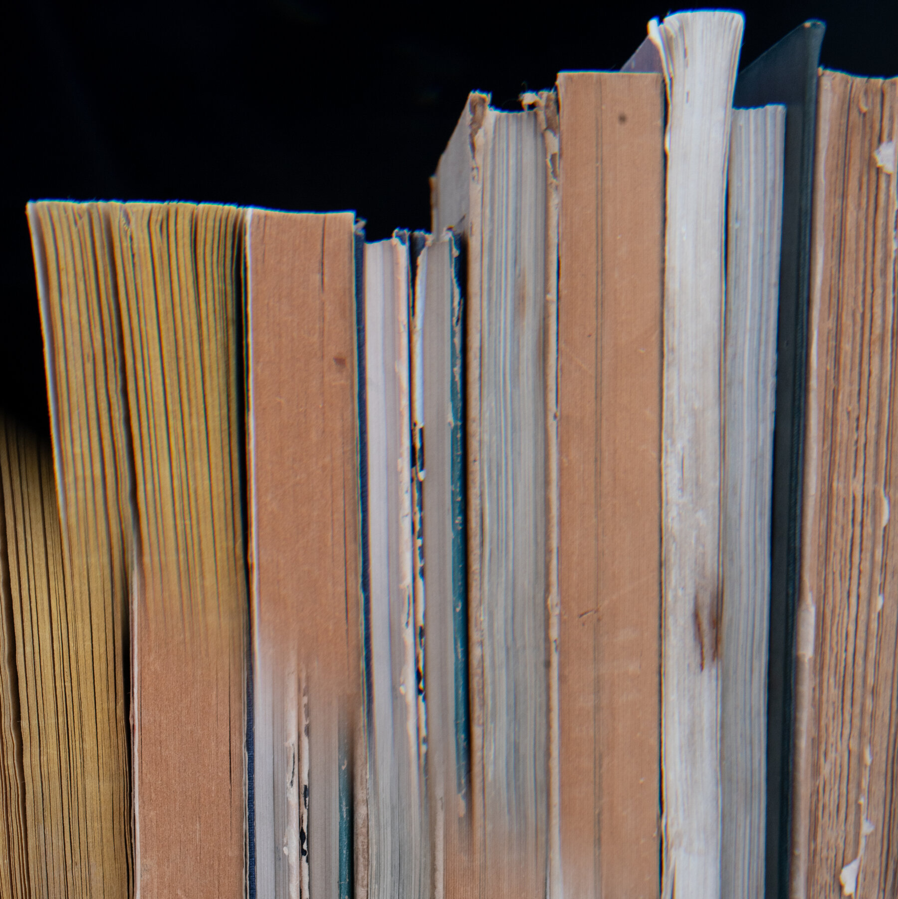 The National Book Awards Are No Longer National 22stephens hvqz mediumSquareAt3X