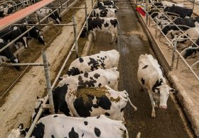 US Hits Canada With Ban on Some Dairy and Liquor Products