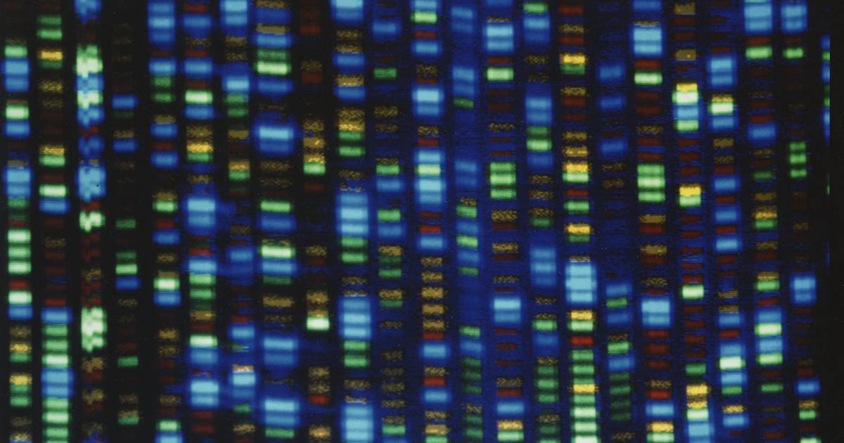 Intelligent Design Bears Good Scientific Fruit in the Study of 'Junk DNA' 2c d5c4 4d34 8ac8 b2b9c200b20c 1200x630 1